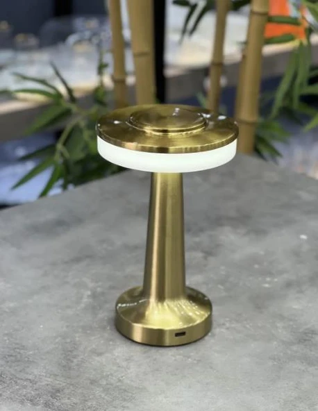 Acar Dekoratif Gold Metal Masa Lambası - 20 cm ACR-491 - 3