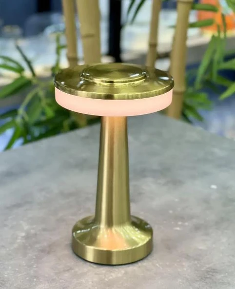 Acar Dekoratif Gold Metal Masa Lambası - 20 cm ACR-491 - 2