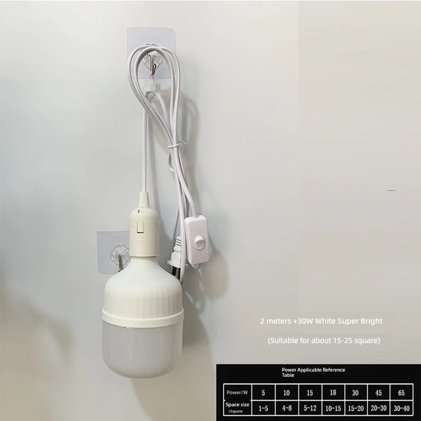 Fişli LED Sarkıt Lamba - 2 Metre Kablo - 30W