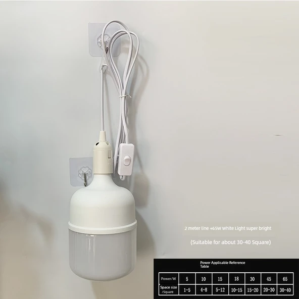 Fişli LED Sarkıt Lamba - 2 Metre Kablo - 65W