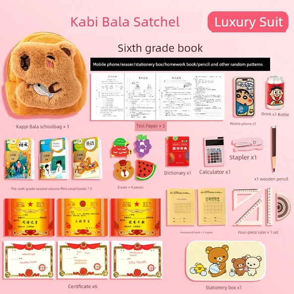 Mini Ders Kitabı Seti - Mini Kapi Bala Çantası [6. Sınıf 2. Dönem] + Lüks Eğitim Seti