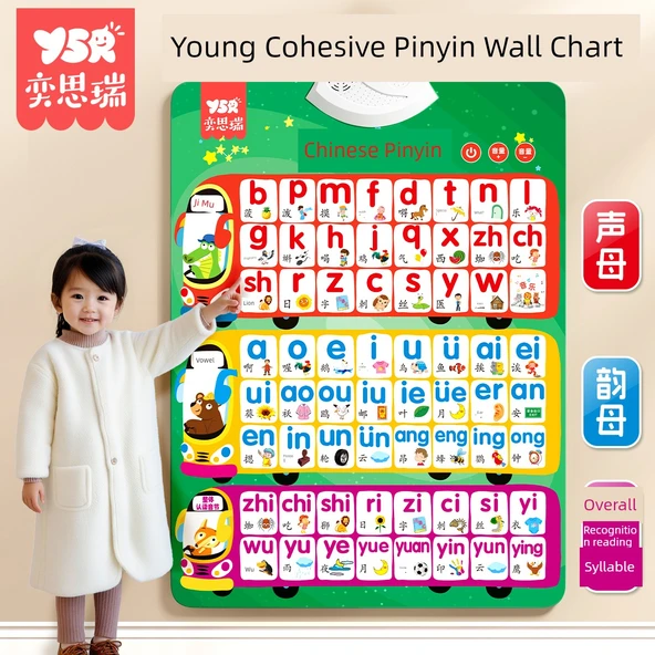 Pinyin Alfabe Tablosu - Pinyin Harfler Sayılar (3 Set) - Resim 2