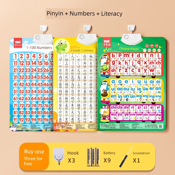 Pinyin Alfabe Tablosu - Pinyin Sayılar Çince Karakterler 1-100 (3 Set)