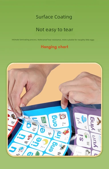 Erken Eğitim Duvar Tablosu - Pinyin + İngilizce - Resim 10