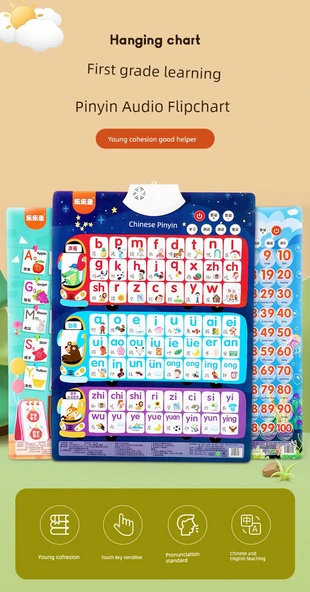 Erken Eğitim Duvar Tablosu - Pinyin + İngilizce - Resim 8