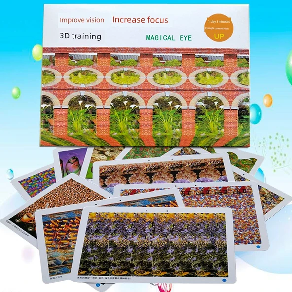 3D Vizyon Eğitim Stereograf Bulmaca Kartı - 80 Resimli