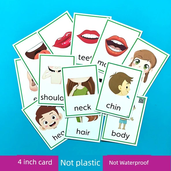 İngilizce Kelime Kartları - 32 Adet 4 İnç Plastik Olmayan Kart