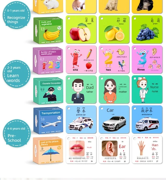 Erken Öğrenme Kartları - Hayvanlar + Meyve ve Sebzeler + Sayılar + Renk (360 Desen) - 8