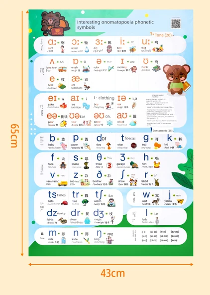 İngilizce Fonetik ve Yazım Telaffuz Duvar Tablosu - İlginç Onomatopoeia 48 Uluslararası Fonetik Alfabe - 11
