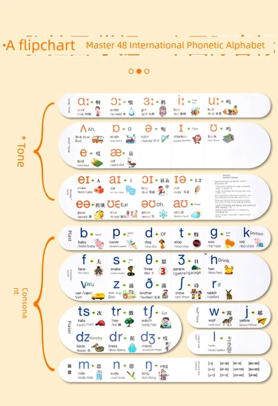 İngilizce Fonetik ve Yazım Telaffuz Duvar Tablosu - İlginç Onomatopoeia 48 Uluslararası Fonetik Alfabe - 8