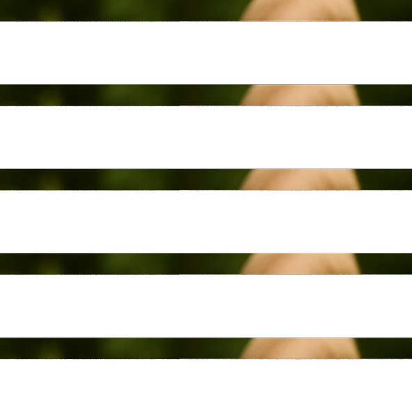 Sabır Taşı 20g - Resim 2