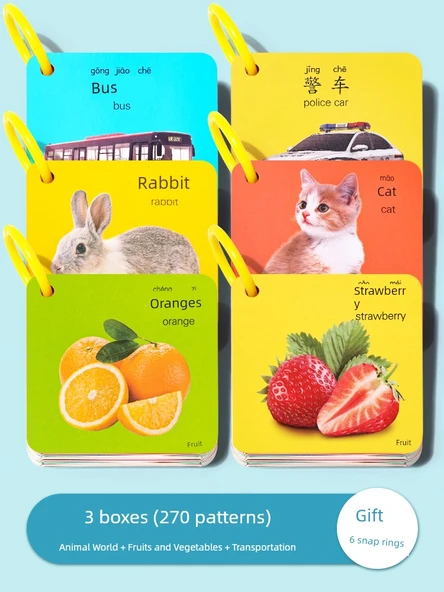 Hayvan Resimli Dijital Eğitim Kartları - 3 Kutu (Hayvanlar, Taşıtlar, Meyve Sebzeler) - 270 Resim