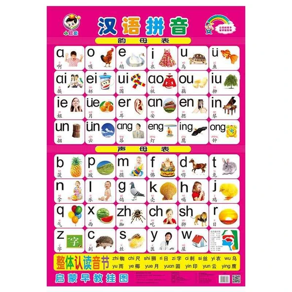 Bebek Erken Öğrenme Duvar Tablosu - Çince Pinyin