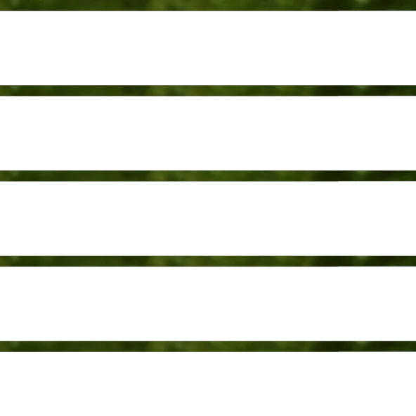 Kurt Pençesi Otu 30g - Resim 2