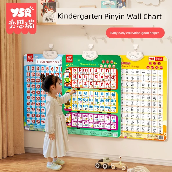 Pinyin Alfabe Sayı Öğrenme Duvar Tablosu - Çince Pinyin Birinci Sınıf Okuryazarlık 100 Seti - 2