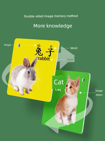 Eğitici Kartlar - Hayvanlar + Taşıtlar + Resimli Okuma Yazma + Meslekler + Sayılar (5 Kutu, 450 Desen) - Resim 3