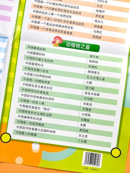 Çocuklar için Dünya Bilgisi Duvar Tablosu - Çin ve Dünya Temalı 4 Kitap - Resim 6