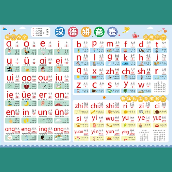 Çocuklar İçin Eğitici Duvar Çıkartması - Çince Pinyin Tablosu