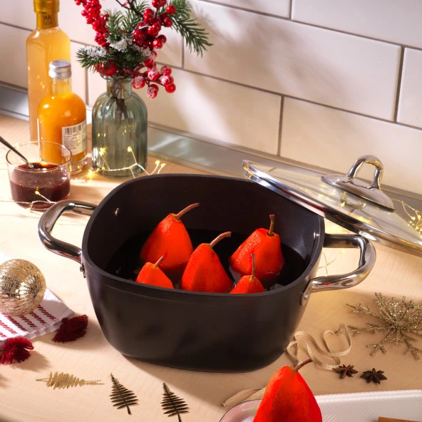 Schafer Gastronomie Master Granit Derin Tencere-20Cm - 11