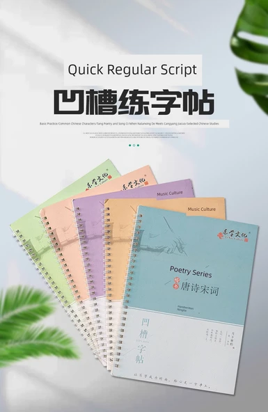 Hat Sanatı Alıştırma Kitabı - Cangyang + Guoxue + Tang Şiiri 20 Yedek 2 Kalem 2 Tutacak - 8