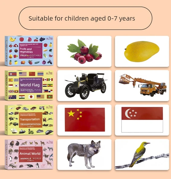 Bebek Erken Eğitim Kartları - Hayvanlar Alemi (Tek Kutu) - 10