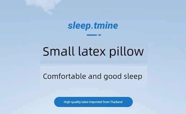 Portatif Lateks Mini Yastık - Standart Koyu Gri Saklama Çantalı - 8