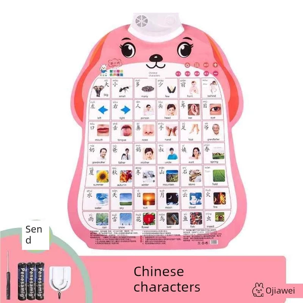 Çince Pinyin Alfabe Duvar Tablosu - Yavru Köpek 1: Çince Karakterler