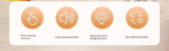 Çince Pinyin Alfabe Duvar Tablosu Sesli Kitap - Pinyin Çince Karakterler Harfler 3 Set - 9