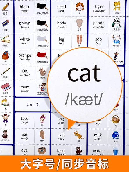 İlkokul İngilizce Kelimeler Duvar Sticker Posteri - 5. Sınıf Alt ve Üst Cilt (2 Kitap) - 5