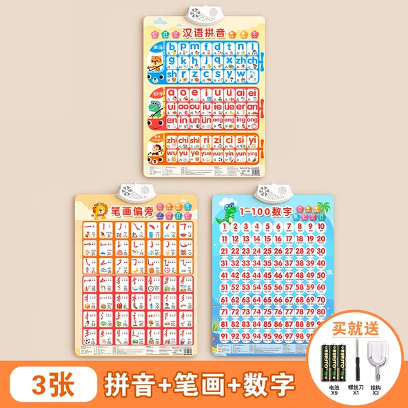 Çince Pinyin Alfabe Duvar Tablosu - Pinyin, Çizgi, Sayı