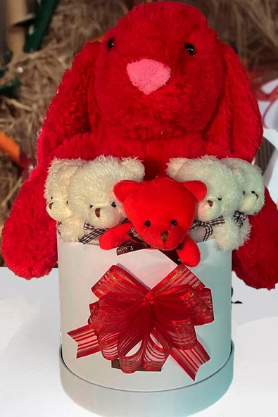 Özel Kutuda, Aşk Temalı Peluş Hediye Kutusu – Kırmızı Jellycat Tavşan & 5 Mini Ayıcık (Özel Tasarım) - Resim 5