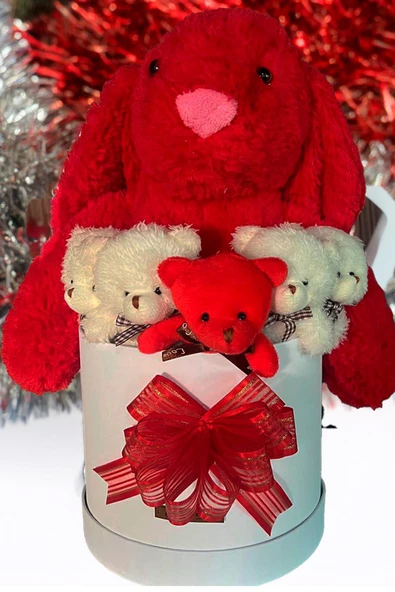 Özel Kutuda, Aşk Temalı Peluş Hediye Kutusu – Kırmızı Jellycat Tavşan & 5 Mini Ayıcık (Özel Tasarım) - Resim 3