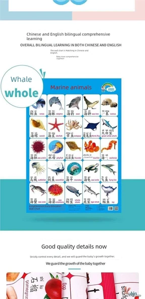 Çocuklar İçin Erken Eğitim Duvar Tablosu - J Seti 10 - Resim 10