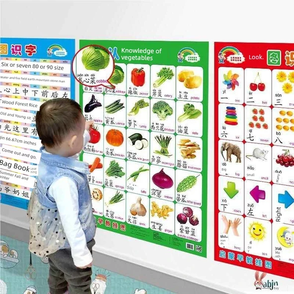 Çocuklar İçin Erken Eğitim Duvar Tablosu - Okuma Yazma, Pinyin, Sayı Tanıma - 2