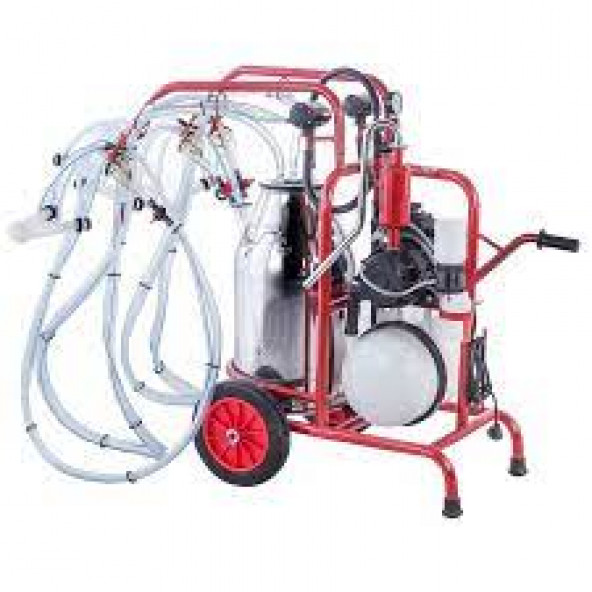 KURTSAN ÇİFTLİ DÖRT BAŞLIKLI KEÇİ KOYUN SAĞIM MAKİNASI 40LT PASLANMAZ GÜĞÜM YAĞLI SAĞIM MAKİNASI - 2