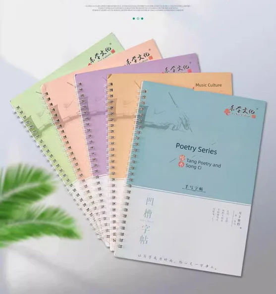 Yazı Defteri Seti - 5 Kitap, 20 Yedek, 2 Kalem, 2 Tutacak, 1 Kalem, 6 Mürekkep - Resim 10