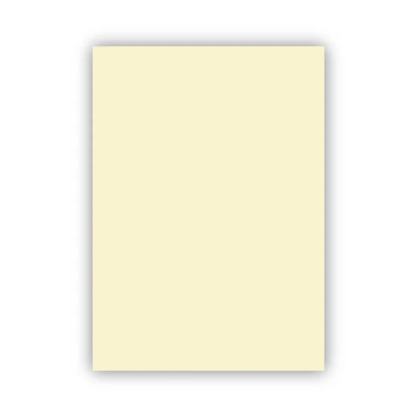 Bigpoint Fon Kartonu 50x70cm 160 Gram Fildişi