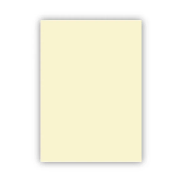 Bigpoint Fon Kartonu 50x70cm 120 Gram Fildişi