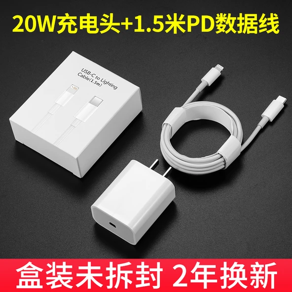 20W USB-C Hızlı Şarj Aleti - PD Hızlı Şarj Başlığı + 1.5m Kablo