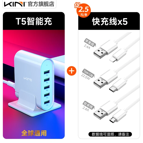 T5 Akıllı Şarj USB Şarj Aleti - ABD Ölçüsü + 5 Adet 1m Apple Kablosu