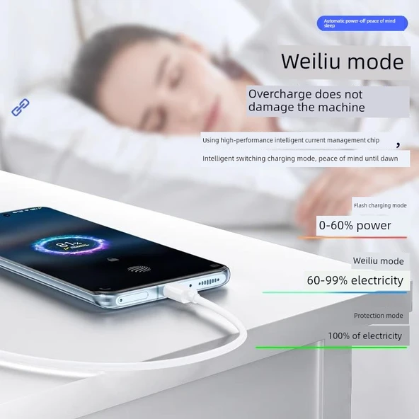 Vivo X200 Pro 90W Hızlı Şarj Aleti - 2 Metre Kablolu - 3