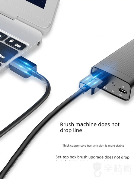 Çift Başlıklı USB 3.0 Data Kablosu - 0.25 Metre - Siyah - 3