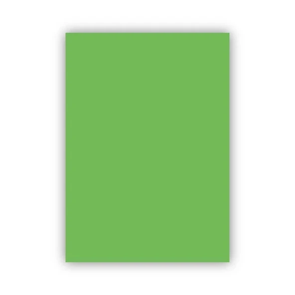 Bigpoint Fon Kartonu 50x70cm 120 Gram Açık Yeşil