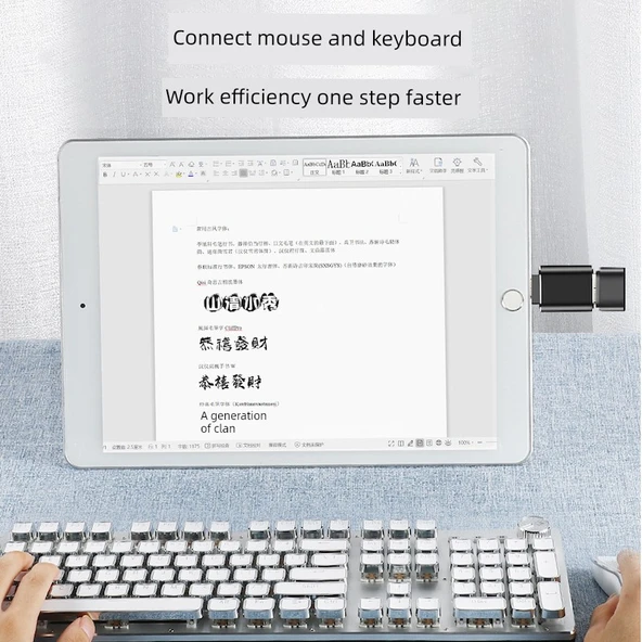 Evrensel OTG Adaptörü - Siyah (Apple/Type-C/Android 3'ü 1 Arada) - 5