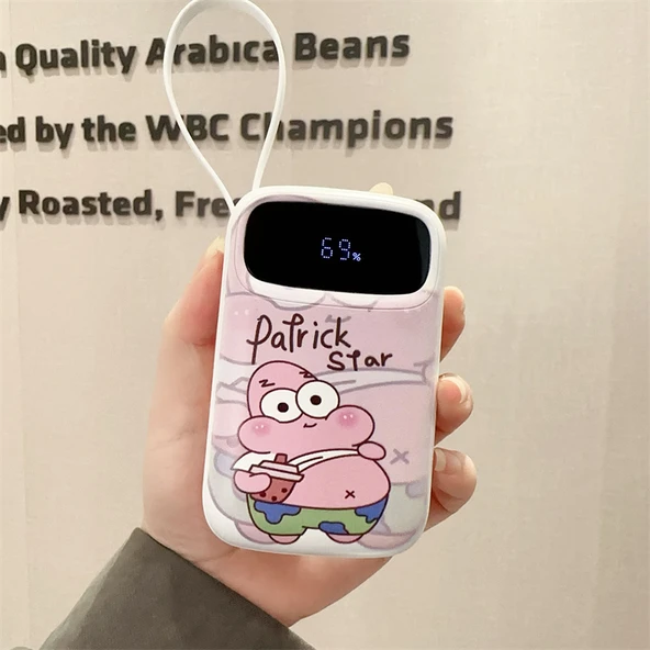 10W Standart 30000mAh Powerbank - Patrick Desenli, 4 Kablolu