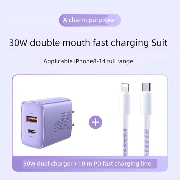 30W Çift Port GaN PD Hızlı Şarj Aleti - Cazibe Moru 1.0m Örgülü Kablo