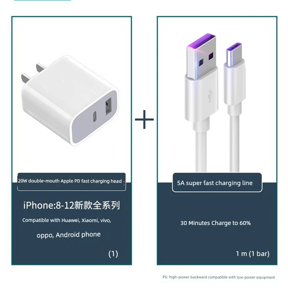 20W USB-C PD Hızlı Şarj Aleti ve 1m 5A Kablo (5V3A)