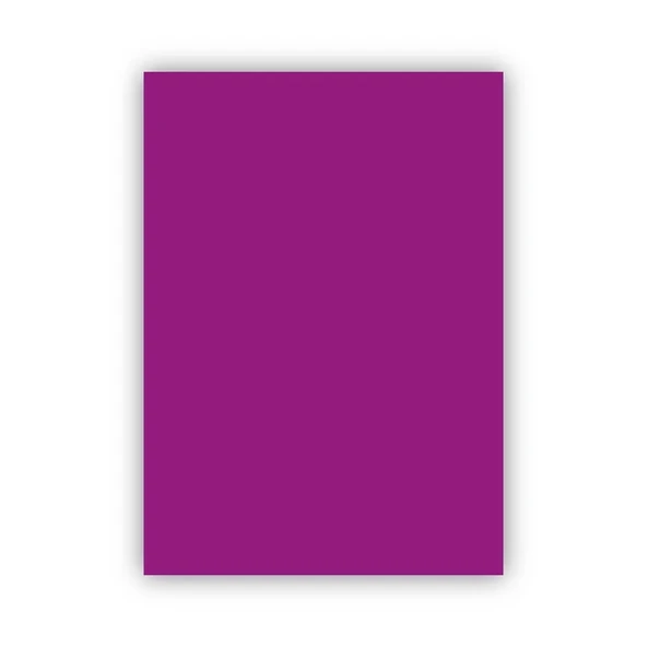 Bigpoint Fon Kartonu 50x70cm 120 Gram Mor