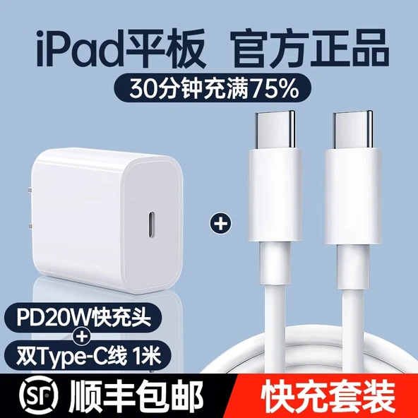 iPadPro PD20W Hızlı Şarj Aleti + 1.0m Çift Type-C Kablo