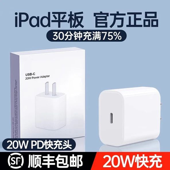iPadPro PD20W Hızlı Şarj Aleti - Tek Başlıklı